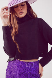 JERSEY CROPPED CUELLO ALTO